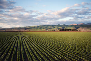 farmland with hills in the background and green crops