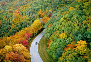 car driving in forest during autumn retirement